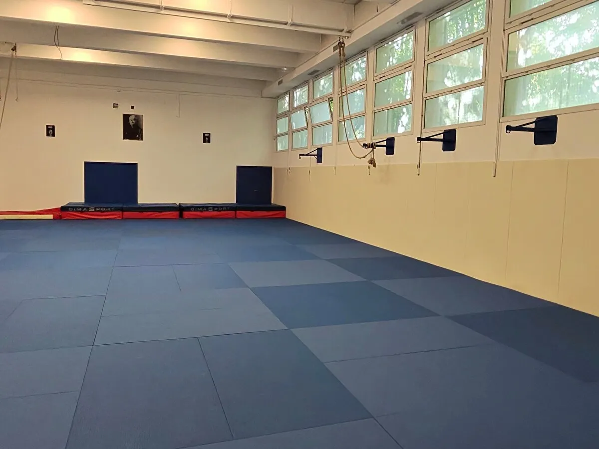 Le dojo de Las Planas, grand tatami bleu et rangée de fenêtres.